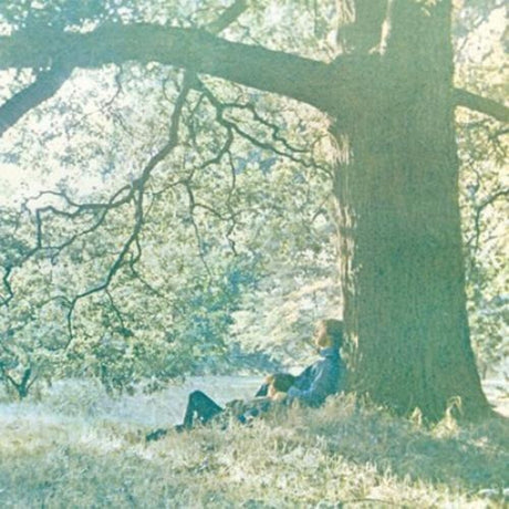 the album cover for Yoko Ono - Plastic Ono Band [Vinyl]