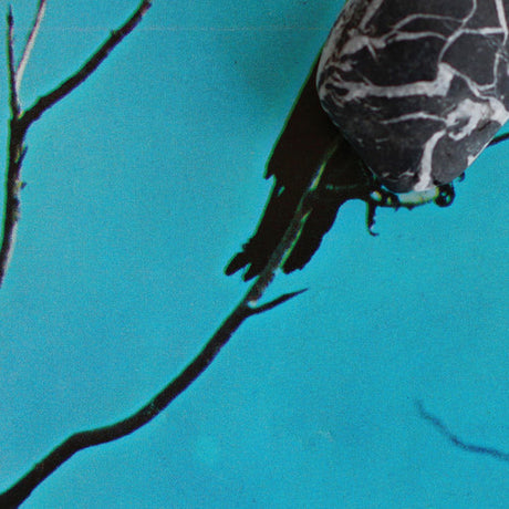 the album cover for Tangents - Stateless [Vinyl]