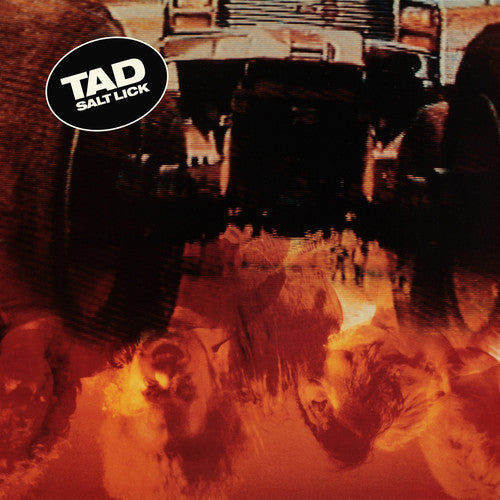 Tad - Salt Lick - Music CD