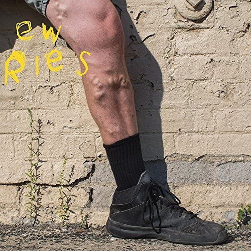 the album cover for New Fries - More