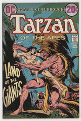 Tarzan Of The Apes 211 DC 1972 FN Joe Kubert Hal Foster