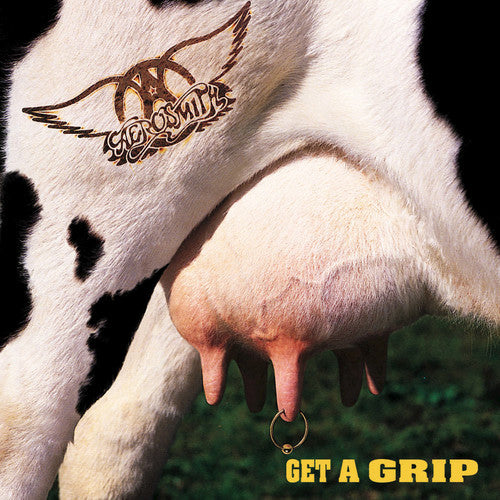 Get A Grip (Vinyl)