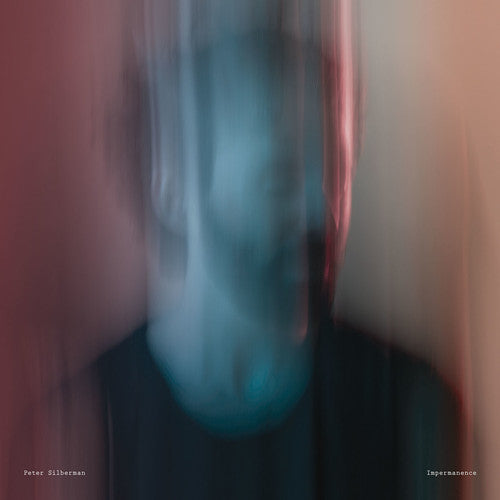 the album cover for Peter Silberman - Impermanence [Vinyl]