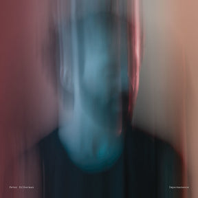 the album cover for Peter Silberman - Impermanence [Vinyl]