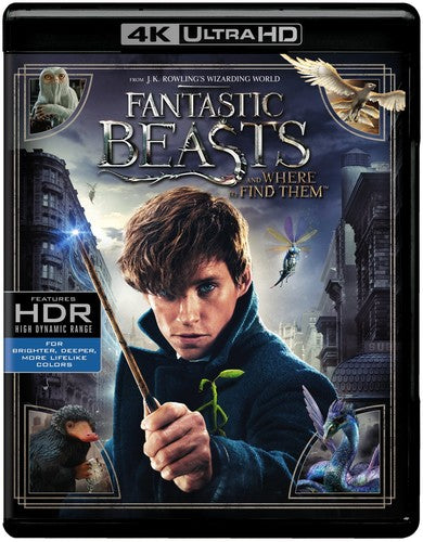 Fantastic Beasts & Where To Find Them - Fantastic Beasts & Where To Find Them - UHD