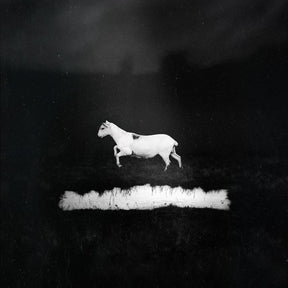 the album cover for Les Discrets - Predateurs (Blk) [180 Gram]