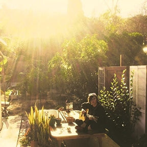 the album cover for Tara Oneil Jane - Tara Jane O'neil