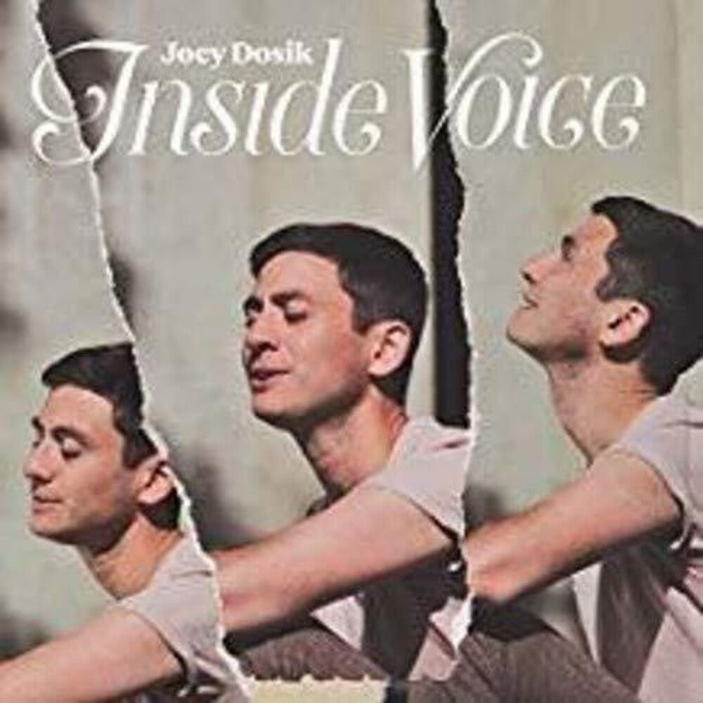 the album cover for Joey Dosik - Inside Voice [Import LP]