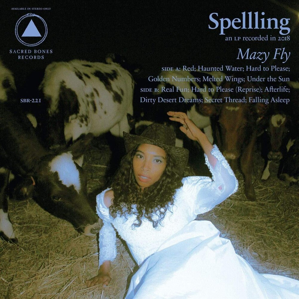 Mazy Fly [LP]