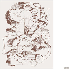 the album cover for Prins Thomas - Ambitions