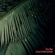 the album cover for Aura - Cultivations