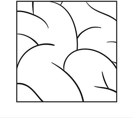 the album cover for Intellexual - Intellexual