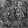 the album cover for Werian - Animist