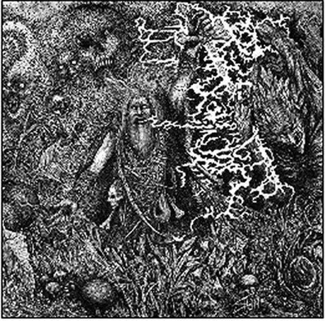 the album cover for Werian - Animist
