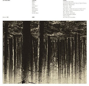 the album cover for Low Flying Hawks - Genkaku