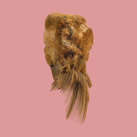 the album cover for Holy Family - Values