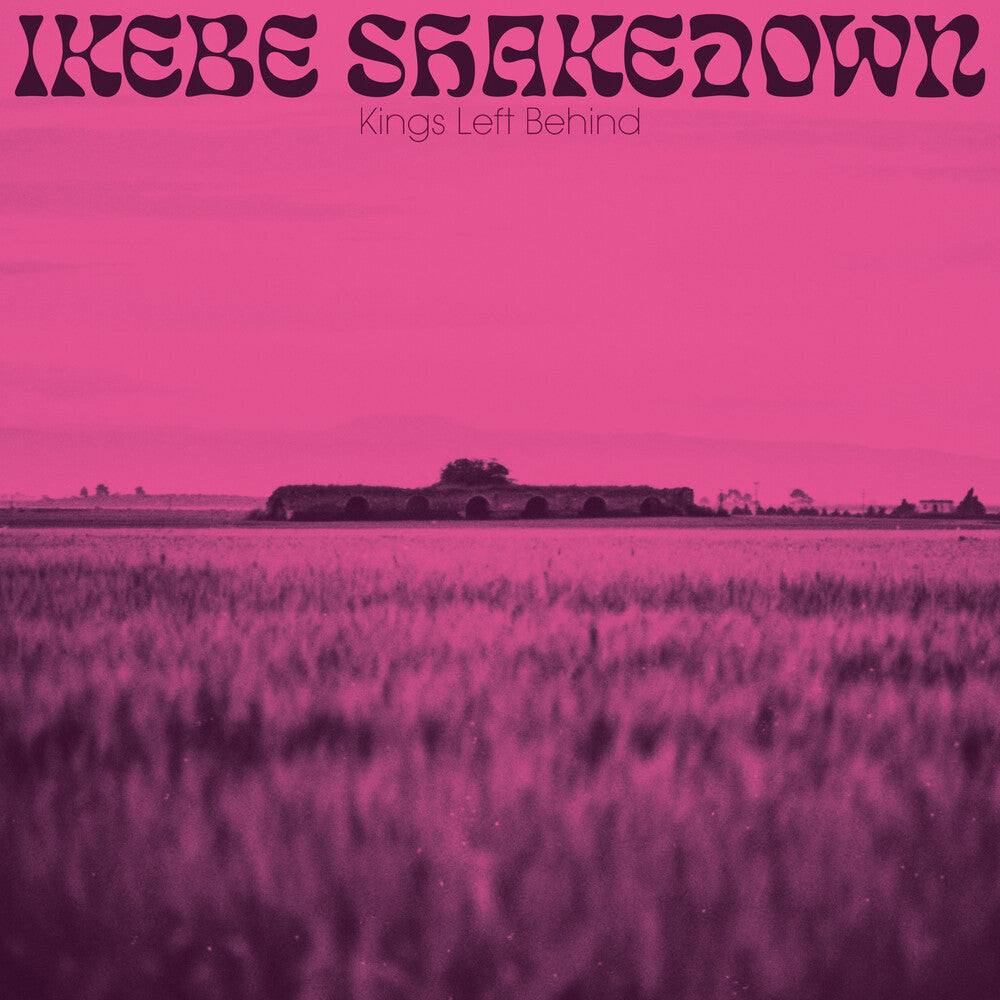 Kings Left Behind [LP]