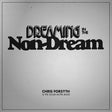 the album cover for Chris Forsyth & The Solar Motel Band - Dreaming In The Non-Dream [LP]