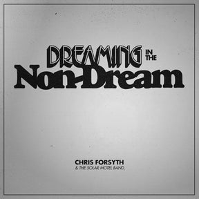 the album cover for Chris Forsyth & The Solar Motel Band - Dreaming In The Non-Dream [LP]