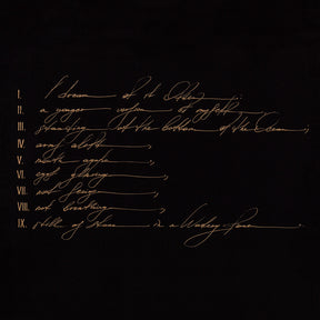 the album cover for Telefon Tel Aviv - Dreams Are Not Enough