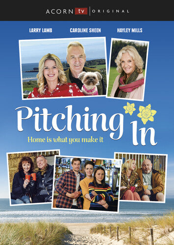 Pitching In Dvd - Pitching In Dvd - DVD