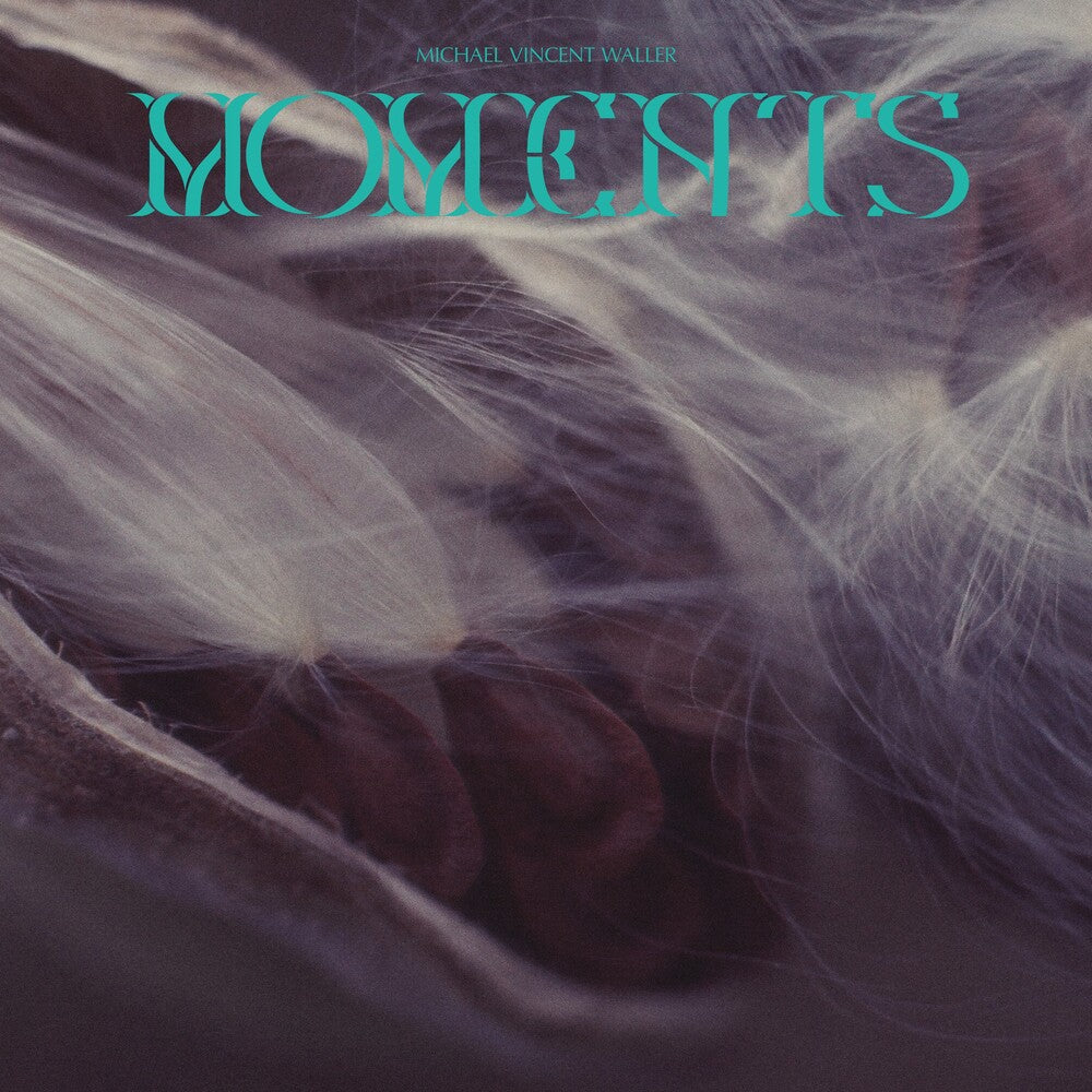 the album cover for Michael Waller Vincent - Moments
