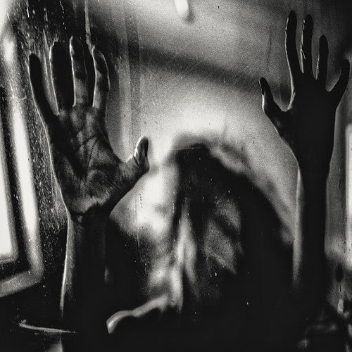 the album cover for Behind The Shadow Drops - Harmonic
