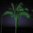 the album cover for Land Of Kush - Sand Enigma