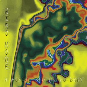 the album cover for Hiro Kone - Fossil Begins To Bray [Colored Vinyl] (Pnk)