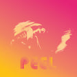 the album cover for Diane Coffee - Peel EP [Vinyl]