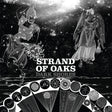the album cover for Strand Of Oaks - Dark Shores (Black & White Splatter Vinyl)