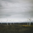 the album cover for Pia Fraus - Field Ceremony
