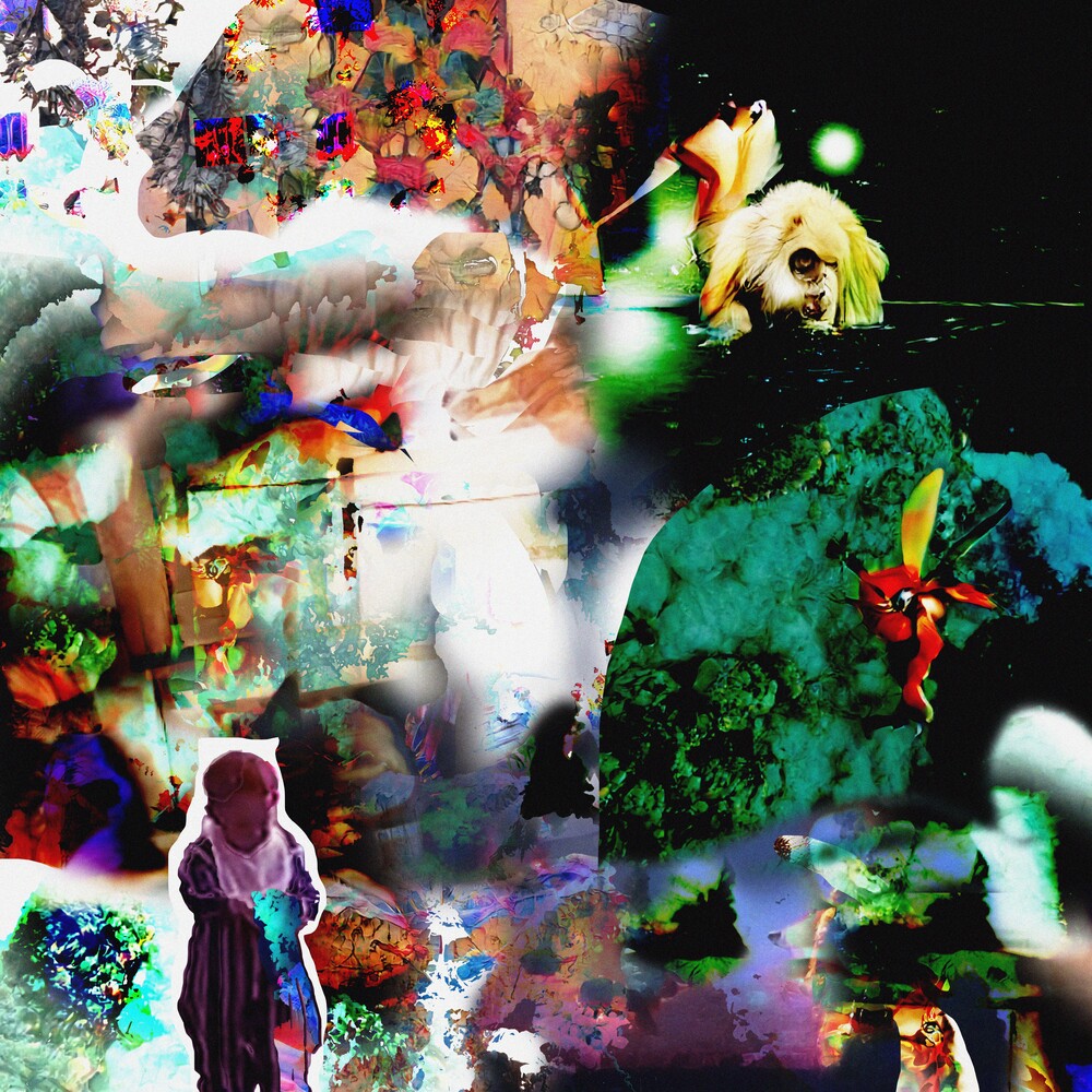 the album cover for Acidhead - Distractions