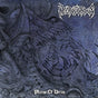 the album cover for Necrovorous - Plains Of Decay