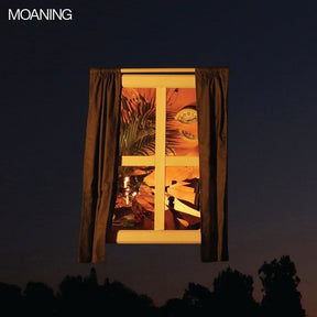 the album cover for Moaning - Moaning [LP]