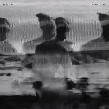 the album cover for Routine Death - 2 Weeks To 4 [Colored Vinyl] [180 Gram]