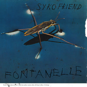 the album cover for Syko Friend - Fontanelle