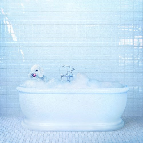 Vessel [CD]