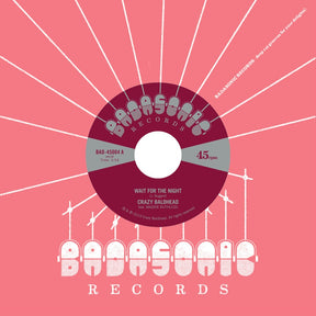 the album cover for Crazy Baldhead - Wait For The Night