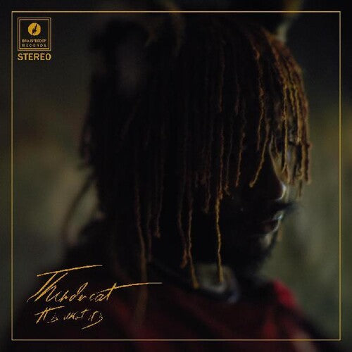 Thundercat - It Is What It Is - Music CD