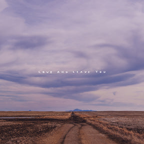 the album cover for 100 Mile House - Love And Leave You