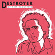 the album cover for Destroyer - City Of Daughters