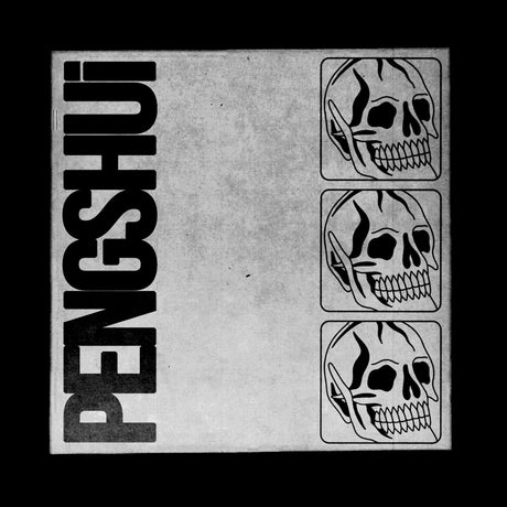 the album cover for PENGSHUi - Pengshui