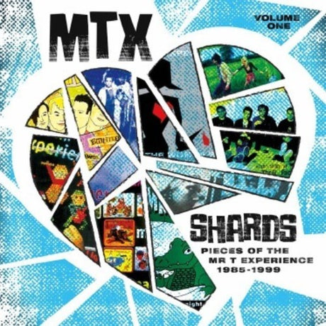 the album cover for Mr T Experience - Shards Vol. 1