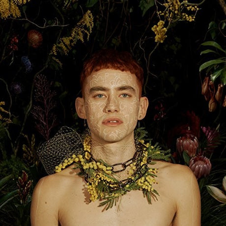 the album cover for Years & Years - Palo Santo [LP]