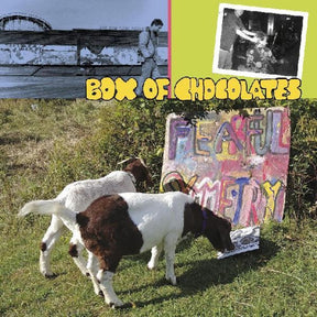 the album cover for Box of Chocolates - Fearful Symmetry