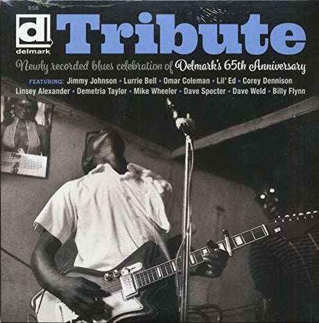 the album cover for Tribute Delmarks 65th Anniversary / Various - Tribute Delmark's 65th Anniversary (Various Artists)