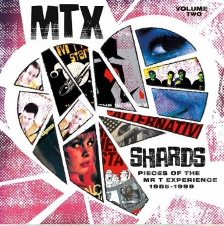 the album cover for Mr T Experience - Shards Vol. 2