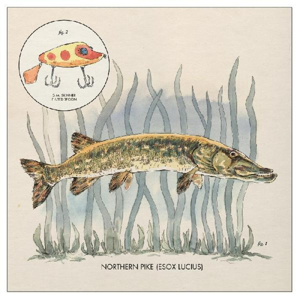 the album cover for Nick Lowe - Lay It On Me