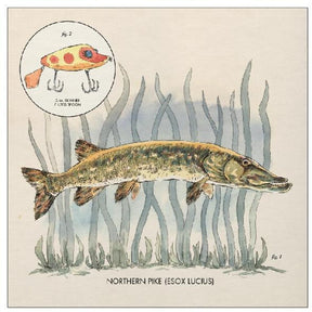 the album cover for Nick Lowe - Lay It On Me